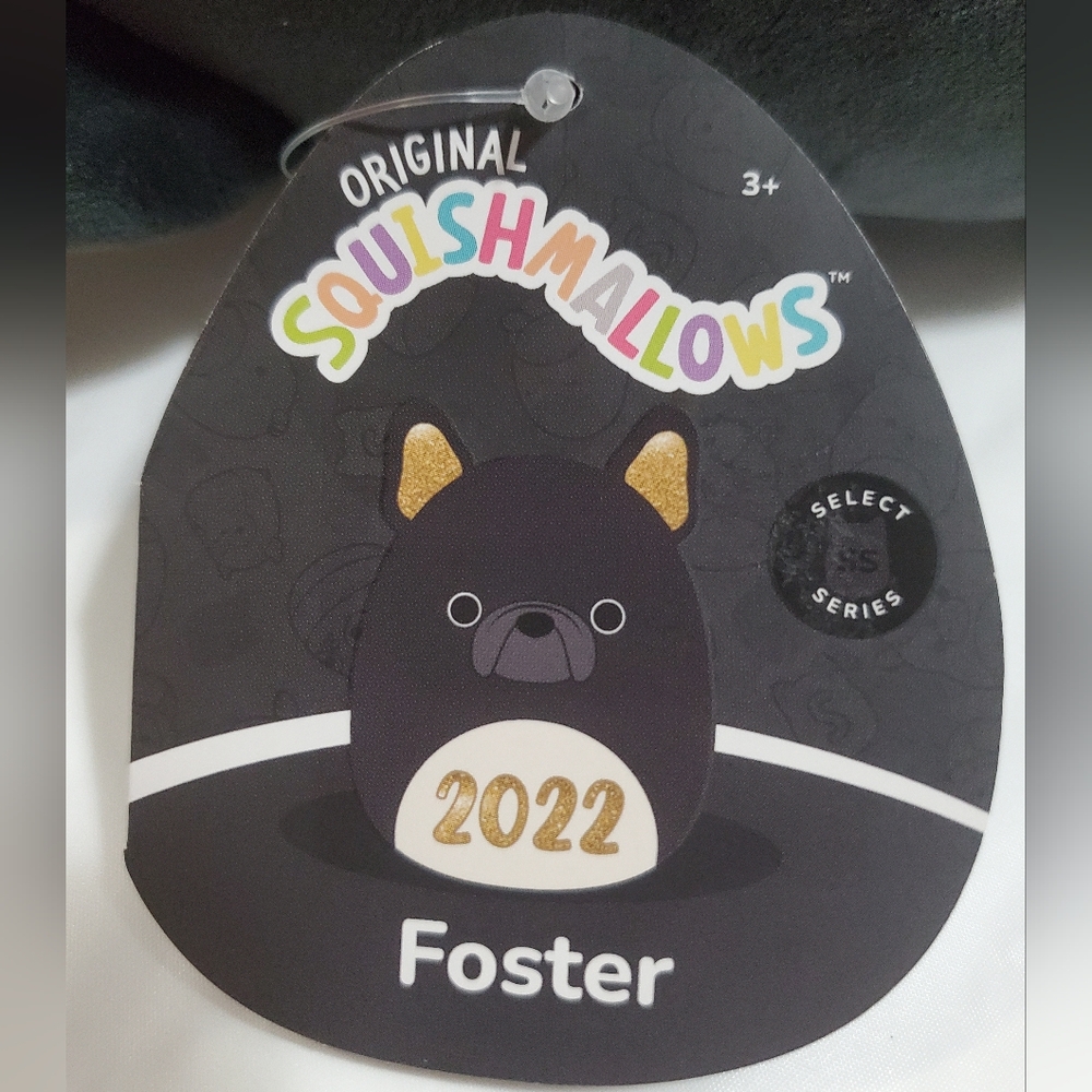NWT Foster, French Bulldog 2022 Select Series Squishmallows - Picture 6 of 10